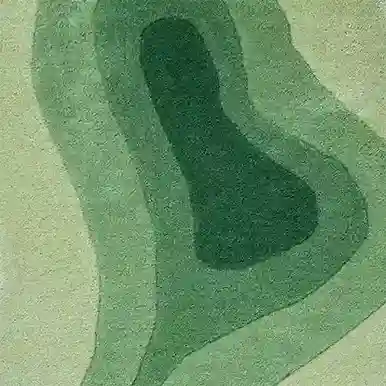amoeba drift rug