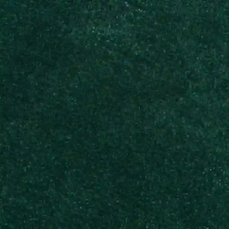 Forest Green Rug
