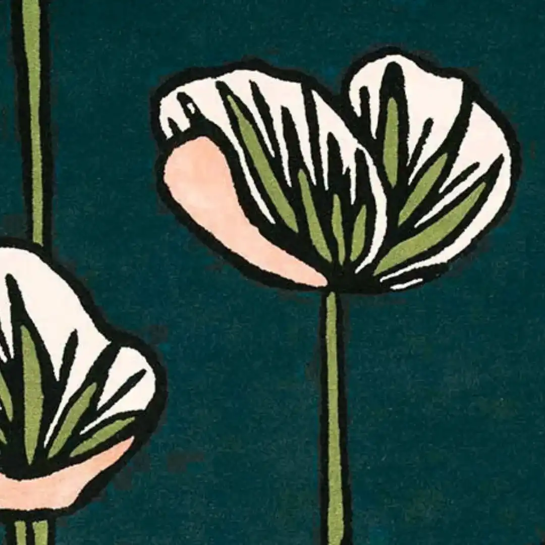 poppies pink floral hand tufted designer rugs