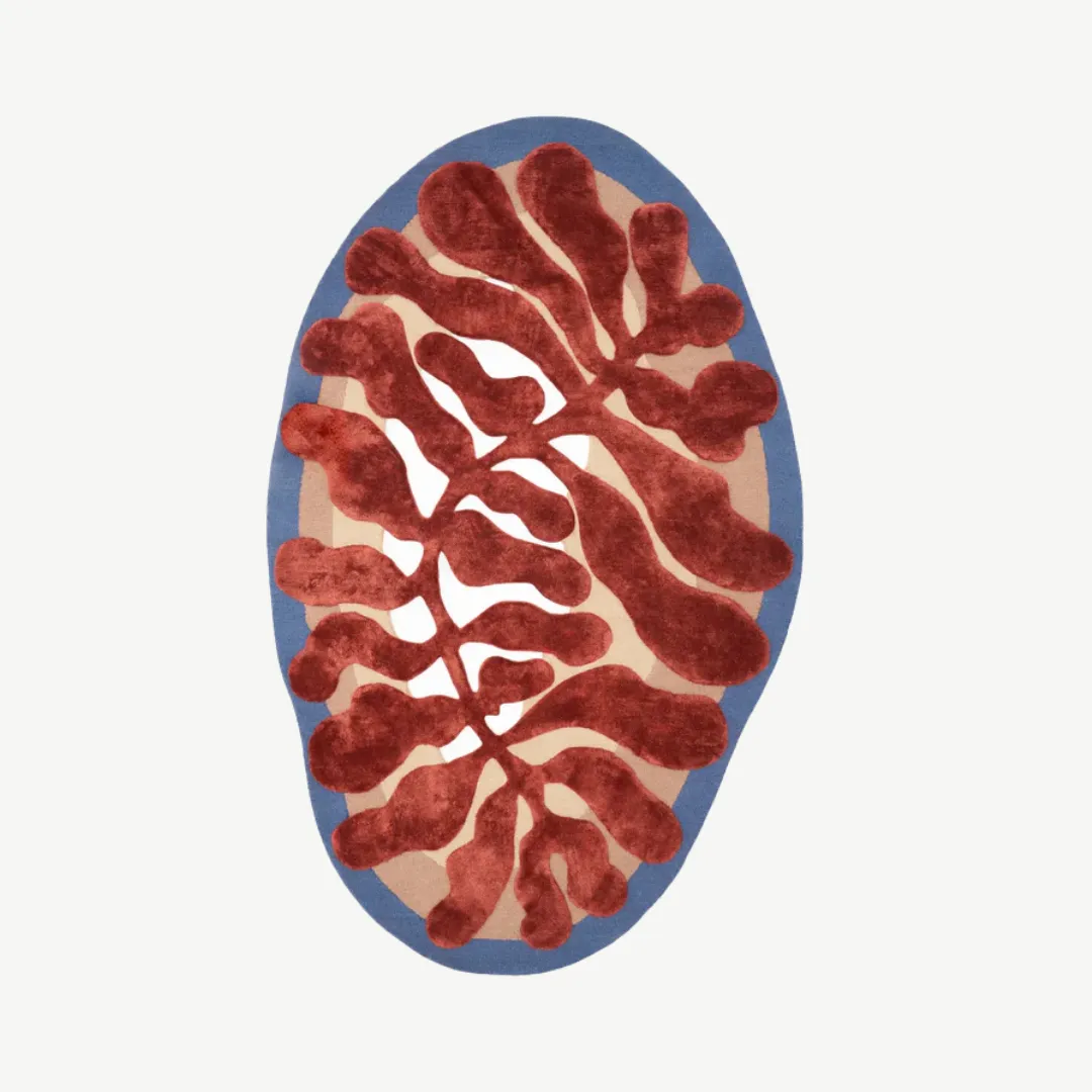 desert bloom hand tufted rug