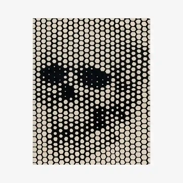 grayskull wool hand tufted rug