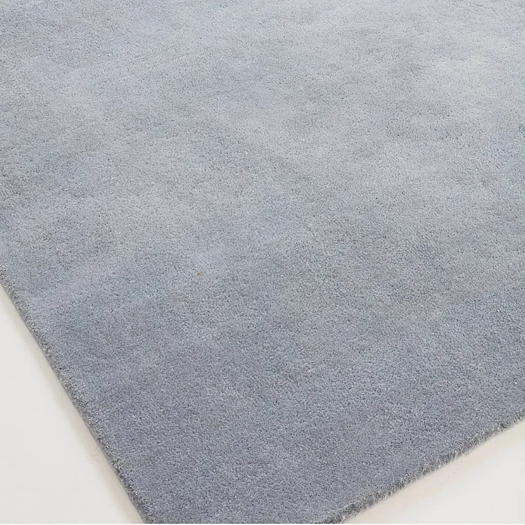 Gray rectangular area rug in modern space